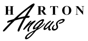 Harton Angus Logo (words)